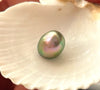 RADIANT ONE-IN-A-MILLION NATURAL WILD FOUND ABALONE PEARL