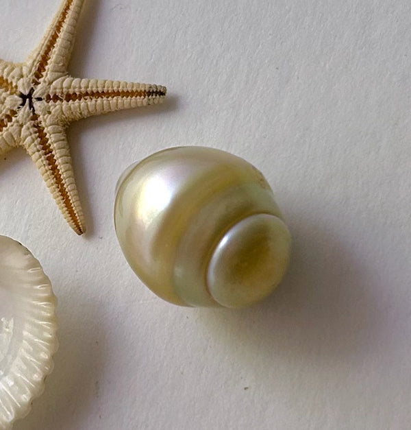 Large South Sea 15+mm Pearl