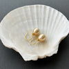 Simple South Sea drop shape pearl earrings in 18k yellow gold