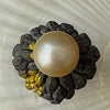 17mm creamy golden South Sea loose un drilled pearl