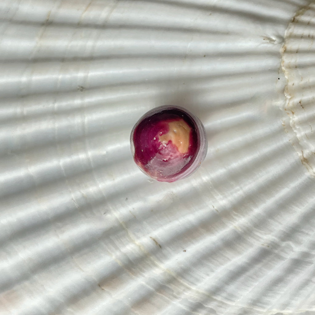 natural wild found Spondylus Calcifer purple button pearl