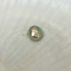natural wild found abalone blister pearl 12mm x 13mm