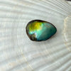 intense green natural wild found abalone pearl
