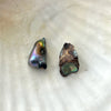 SHARK TOOTH *PAIR* OF NATURAL WILD FOUND ABALONE PEARLS