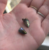 SHARK TOOTH *PAIR* OF NATURAL WILD FOUND ABALONE PEARLS