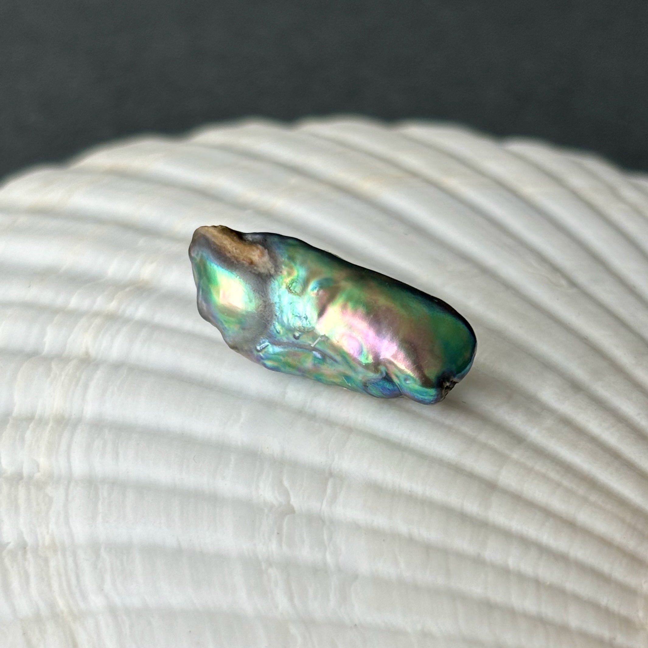 metallic luster natural wild found abalone pearl– Kojima Pearl metallic luster natural wild found abalone pearl– Kojima Pearl