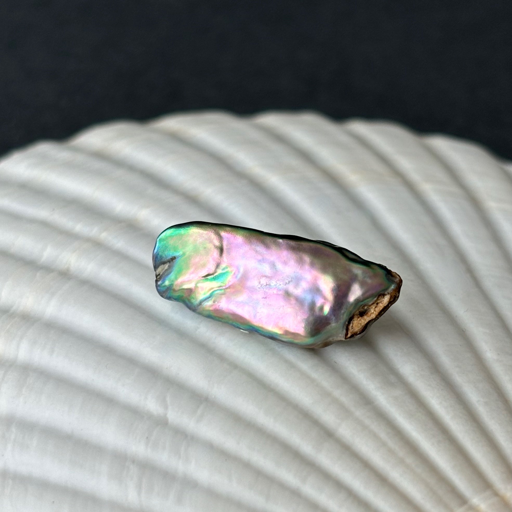 珊瑚ルース 天然サンゴ ルース(裸石) 7.628ct 球形 ( 赤珊瑚 さんご レッド