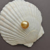 loose un drilled golden South Sea 15.5mm pearl