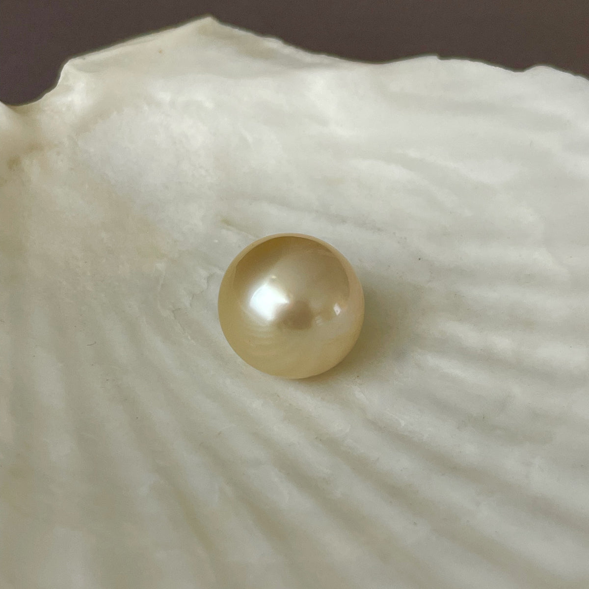 Golden South Sea Pearls – Continental Pearl Loose Pearl, Pearl Necklaces &  Jewelry