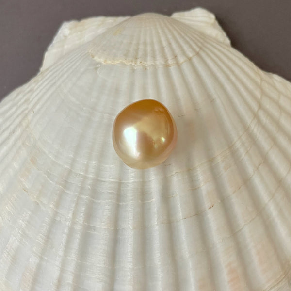 15.5 golden with peach overtones South Sea drop pearl