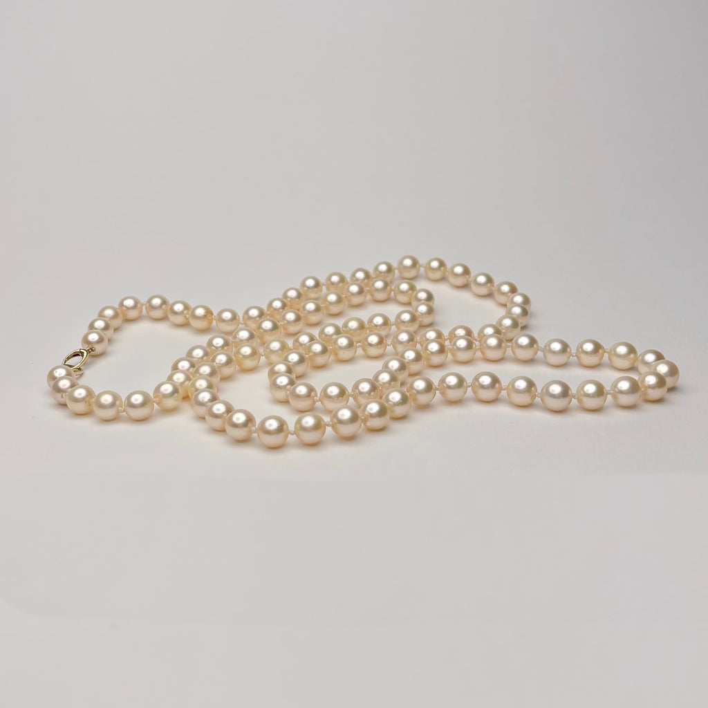 Akoya pearl necklace on a light gray background