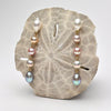 Five tier ombre pearl earrings on a sand dollar with a white background