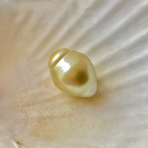 A large, light golden yellow South Sea pearl with a baroque, banded drop shape, placed on a white surface.