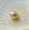 Lustrous large size light golden baroque South Sea banded pearl. 