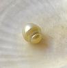 banded natural color large size light golden South Sea pearl on a white shell