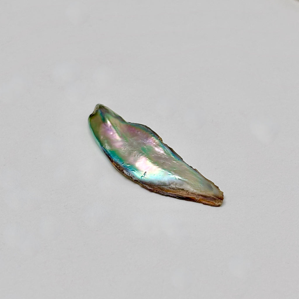 a 2" long natural abalone pearl on a light grey background