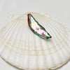 A 2" long multicolored abalone pearl placed on a white shell