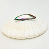  2" long natural abalone pearl displayed on a white shell.