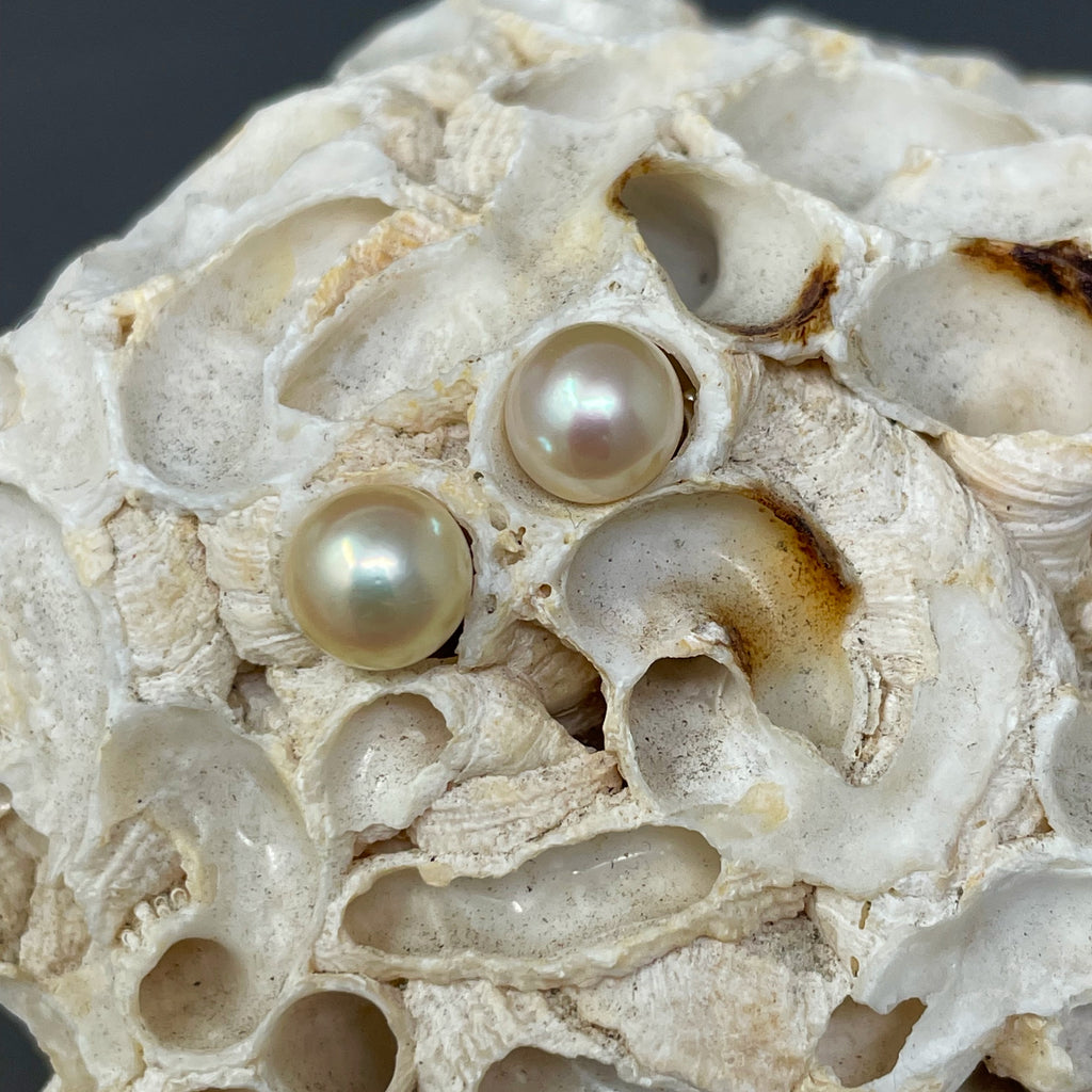 In stock Japanese Akoya pearl earrings Womens Fashion Jewelry   Organisers Earrings on Carousell