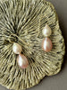 double Spring drop pearl earrings