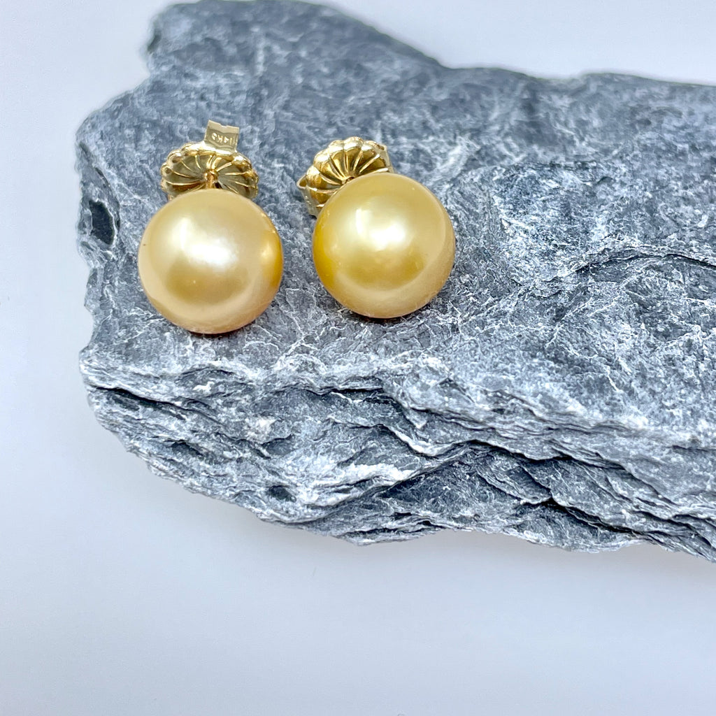 soft golden South Sea pearl studs
