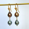 brown and blue tahitian pearl earrings