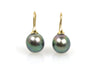 oval tahitian pearl earrings