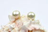 buttery south sea pearl stud earrings