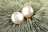 peachy coin pearl pair