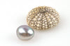 big baroque egg button pearl