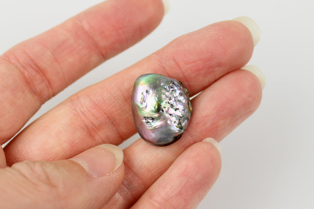 collecting joy natural abalone pearl– Kojima Pearl